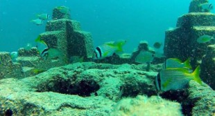 3D Printing Artificial Reefs in the Persian Gulf to Save Deteriorating Marine Ecosystems